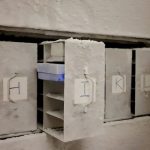 Microbiota Vault: پروژه جهانی برای نجات میکروب‌های در حال انقراض زمین