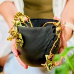چرا همه گیاهان آب را به یک شکل مدیریت نمی‌کنند؟