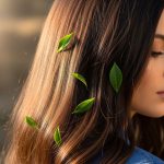 معجزه چای سبز برای درمان ریزش مو: آیا واقعاً مؤثر است؟!
