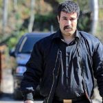 بازتاب یک استایل متفاوت: درخشش مونا فائزپور، همسر «ارسطو عامل» پایتخت، در فضای مجازی!