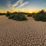 هوش مصنوعی خشکسالی درمان می کند | AI وارد میدان شد!
