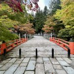 کویاسان: کوه مقدسی که آرامش و عرفان را در دل ژاپن زنده نگه داشته است