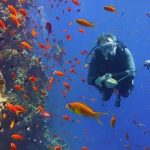پنج مقصد شگفت‌انگیز برای غواصی در جهان