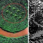 کشف اهرام مرموز در اعماق آمازون توسط ناسا بعد از ۵۰ سال فاش شد!