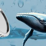 خرید میلیونی نهنگ‌ها | سه رمزارز محبوب دسامبر ۲۰۲۵