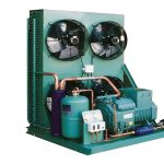 کشف یک همکاری پنهان در جنگل‌ها