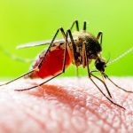 ترس و اضطراب با زندگی در محیط‌های طبیعی