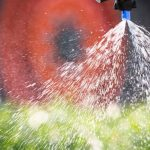 اثر آفت‌کش‌ها بر باروری مردان؛ خطرات پنهان نئونیکوتینوئیدها