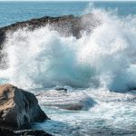 خطر میکروپلاستیک ها برای گسترش ابرمیکروب ها در محیط زیست